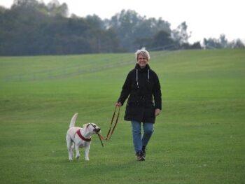 woman walking dog on leash through field